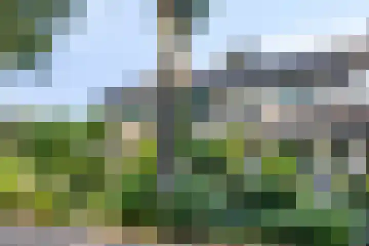 Cornelis Kagerlaan 22 Bergen (NH) thumbnail 27
