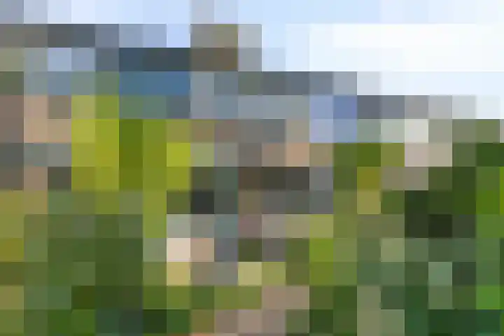Cornelis Kagerlaan 22 Bergen (NH) thumbnail 5