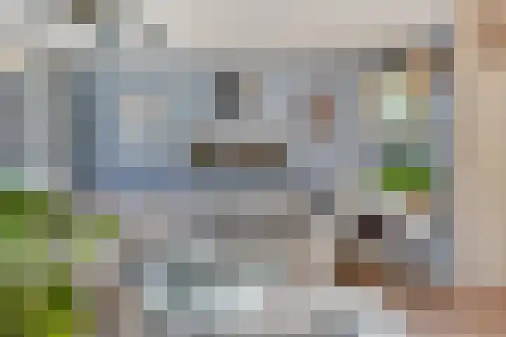 Cornelis Kagerlaan 22 Bergen (NH) thumbnail 8