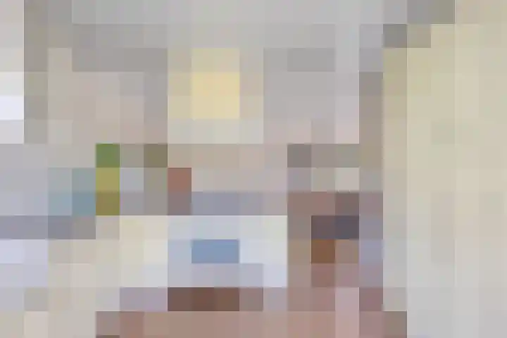 Cornelis Kanstraat 17 Sneek thumbnail 17