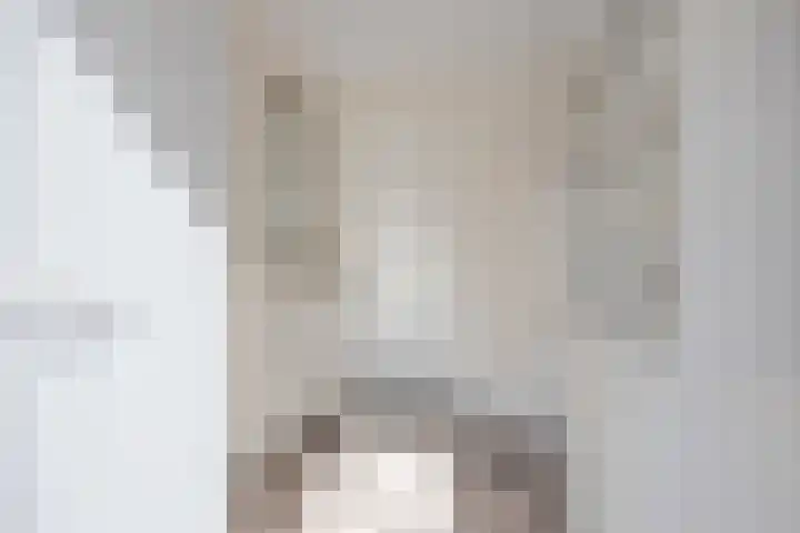 Cornelis Kanstraat 17 Sneek thumbnail 20