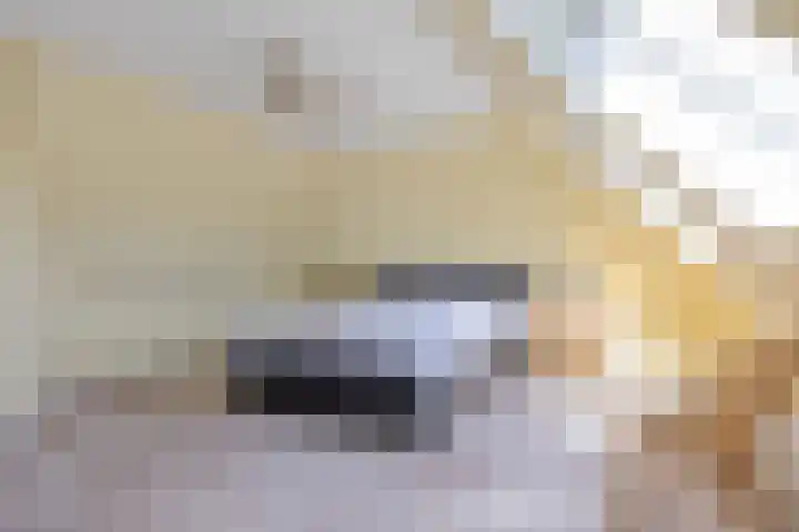 Cornelis Kanstraat 17 Sneek thumbnail 33