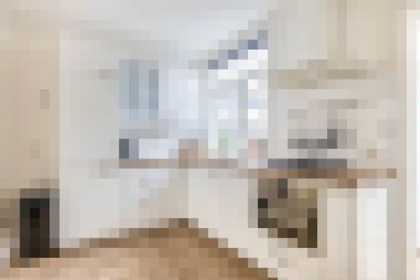 Cornelis Ketelstraat 5 Gouda thumbnail 11