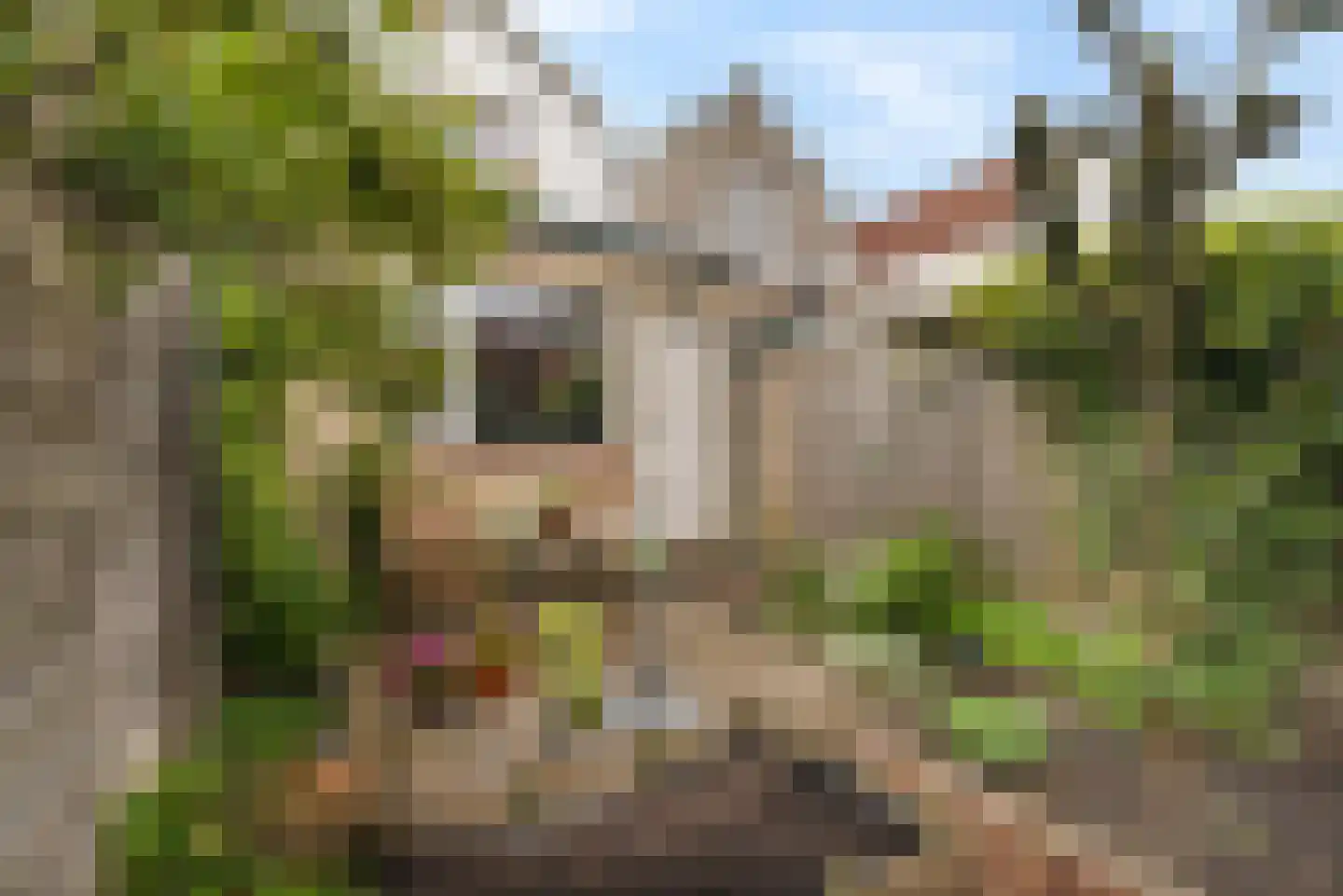 Cornelis Ketelstraat 77 Gouda thumbnail 34
