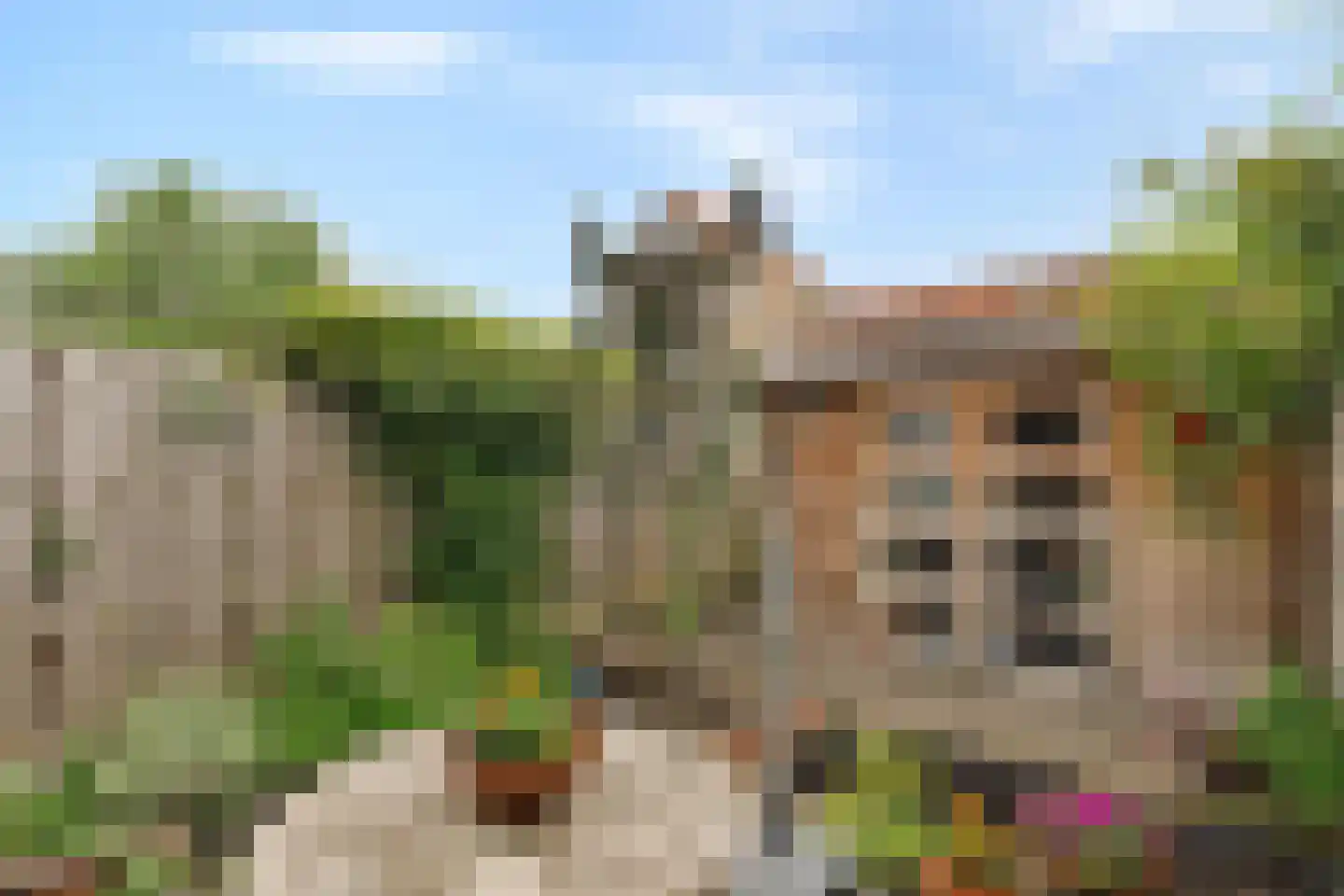 Cornelis Ketelstraat 77 Gouda thumbnail 36