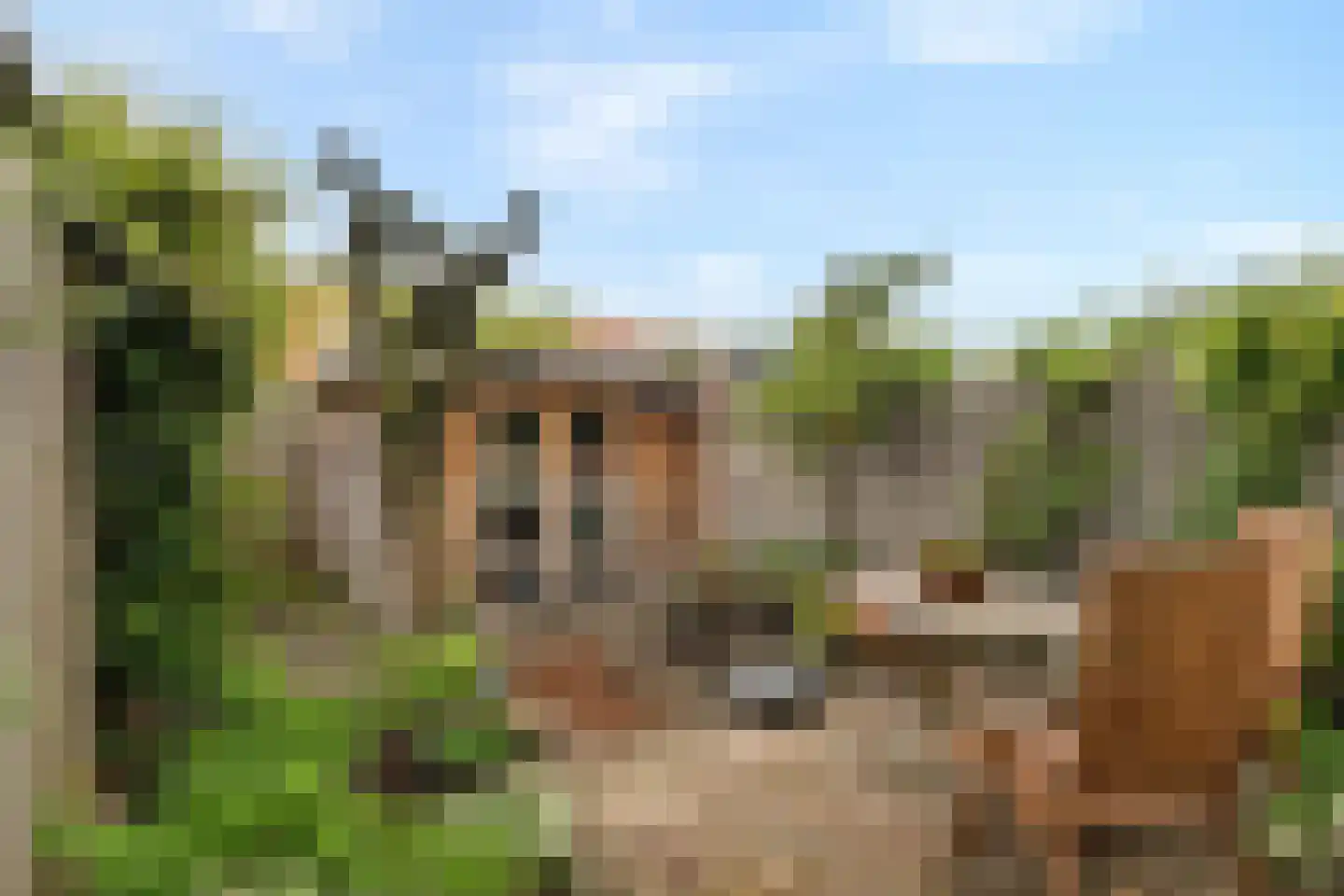 Cornelis Ketelstraat 77 Gouda thumbnail 4