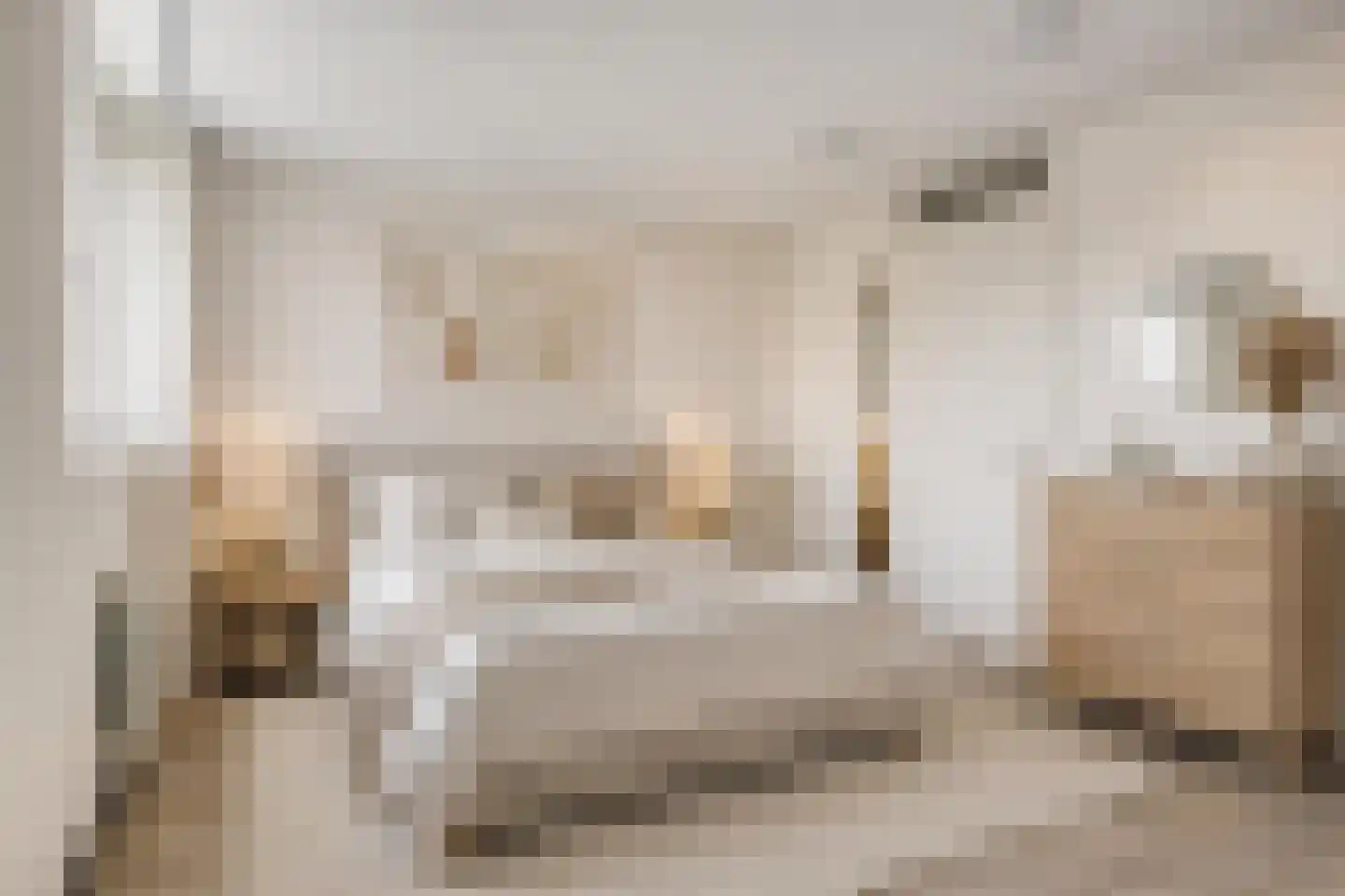 Cornelis Koemanstraat 15 Waalwijk thumbnail 15
