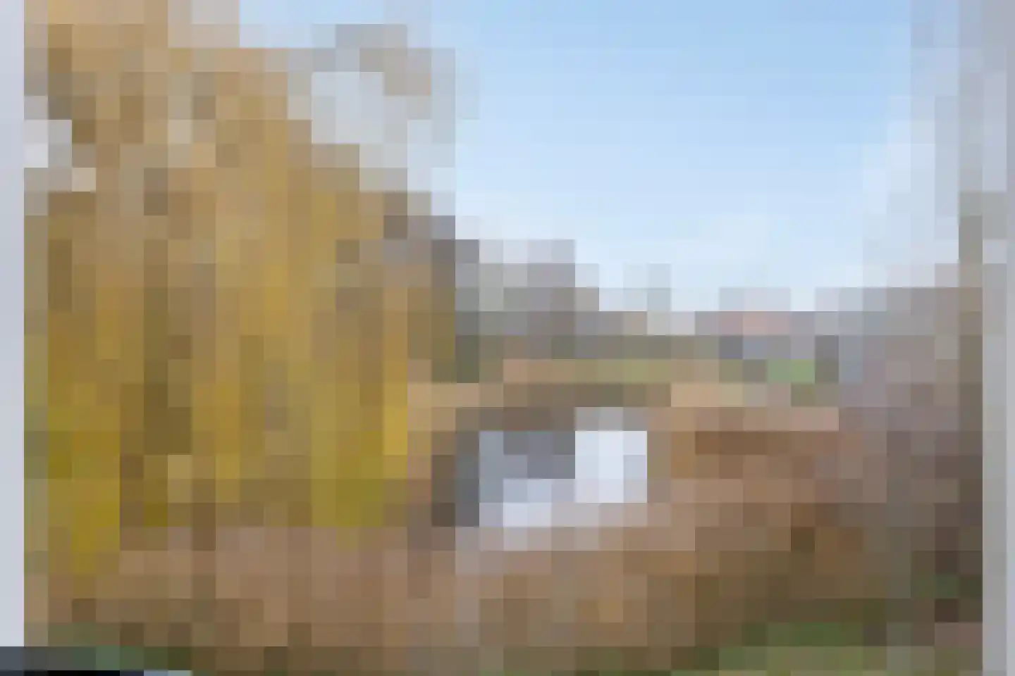 Cornelis Koemanstraat 15 Waalwijk thumbnail 24