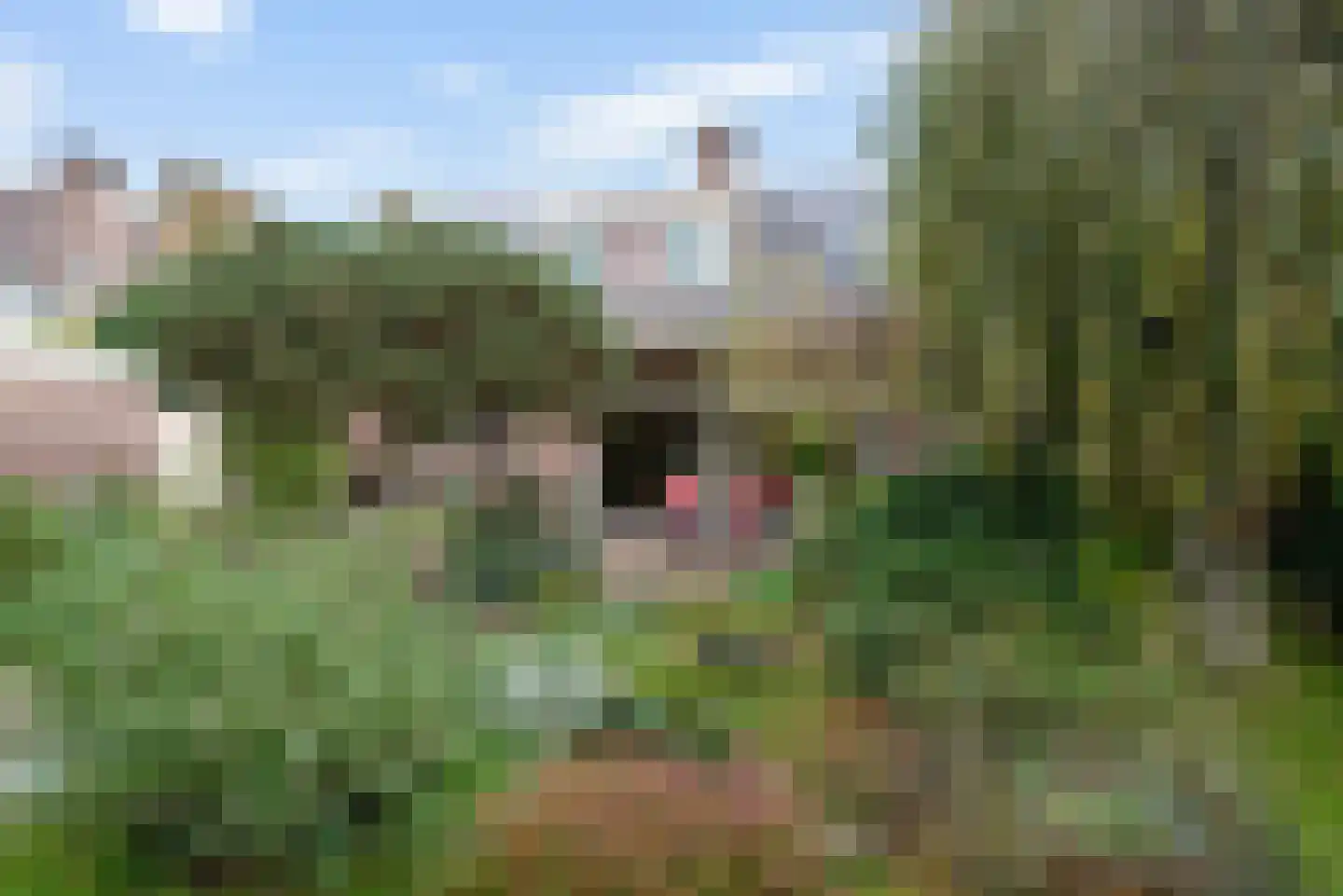 Cornelis Kooijmanlaan 3 Bergen (NH) thumbnail 32