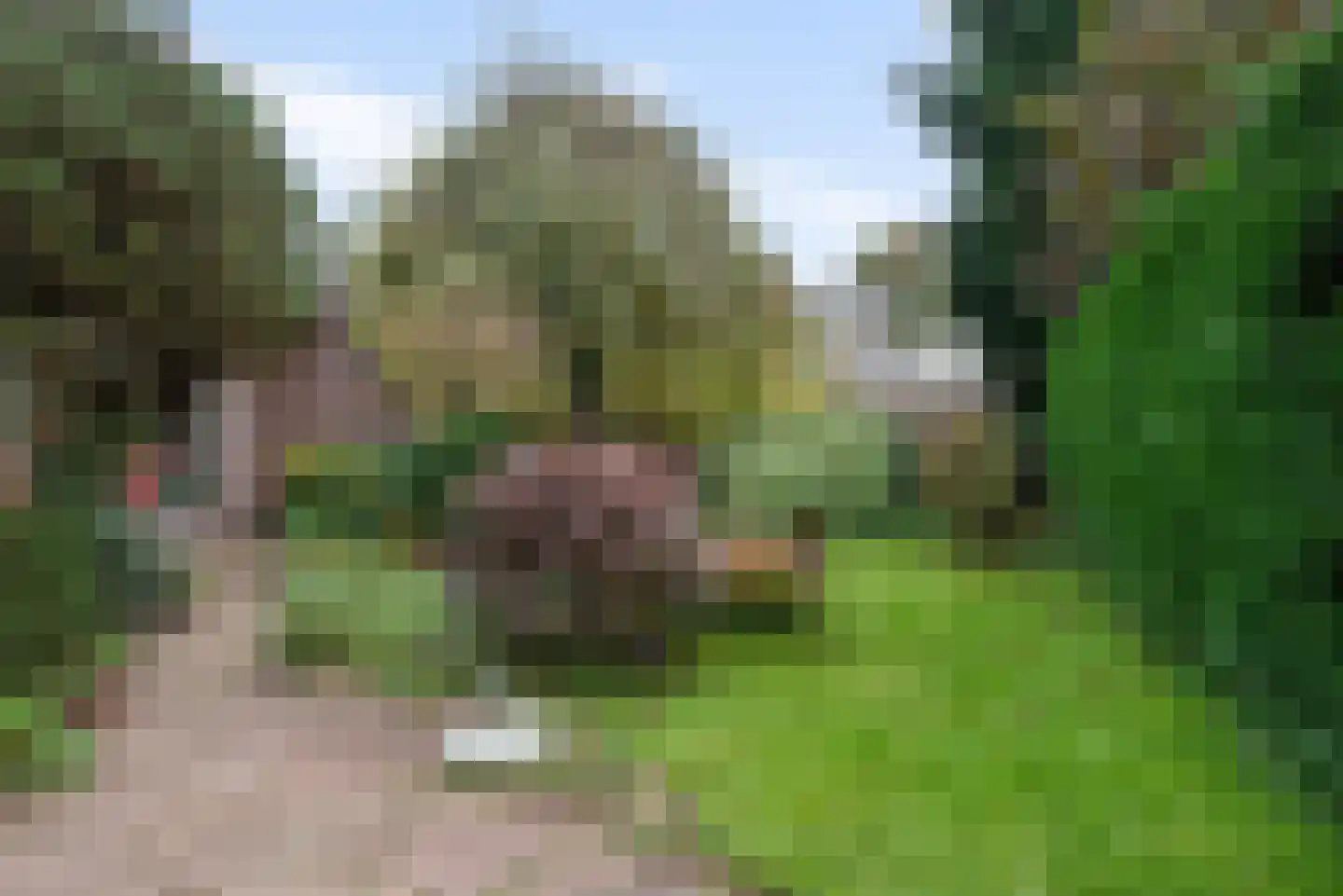 Cornelis Kooijmanlaan 3 Bergen (NH) thumbnail 38