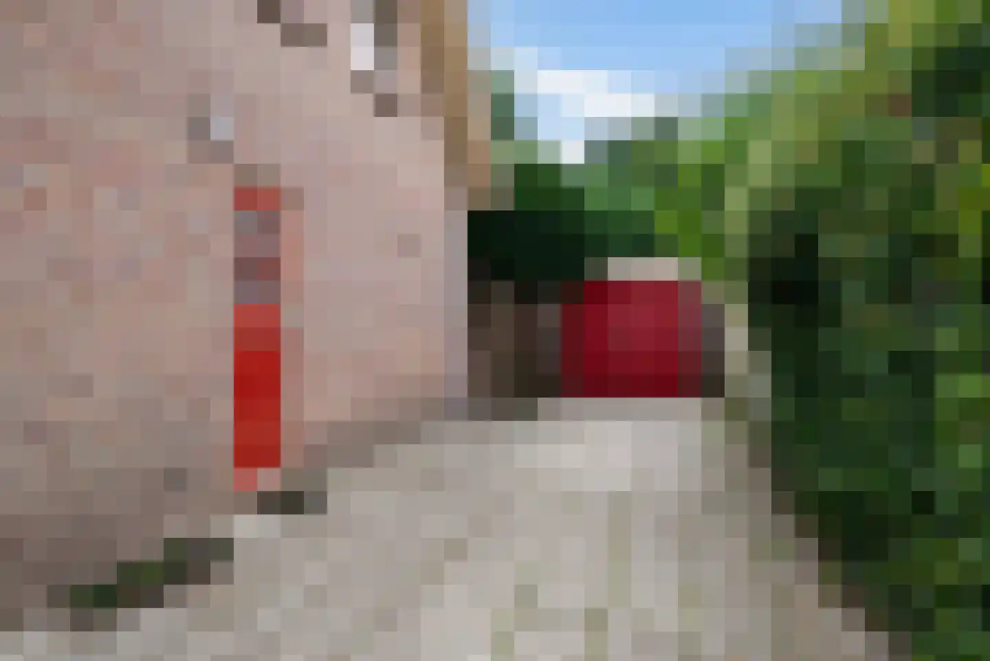 Cornelis Kooijmanlaan 3 Bergen (NH) thumbnail 4