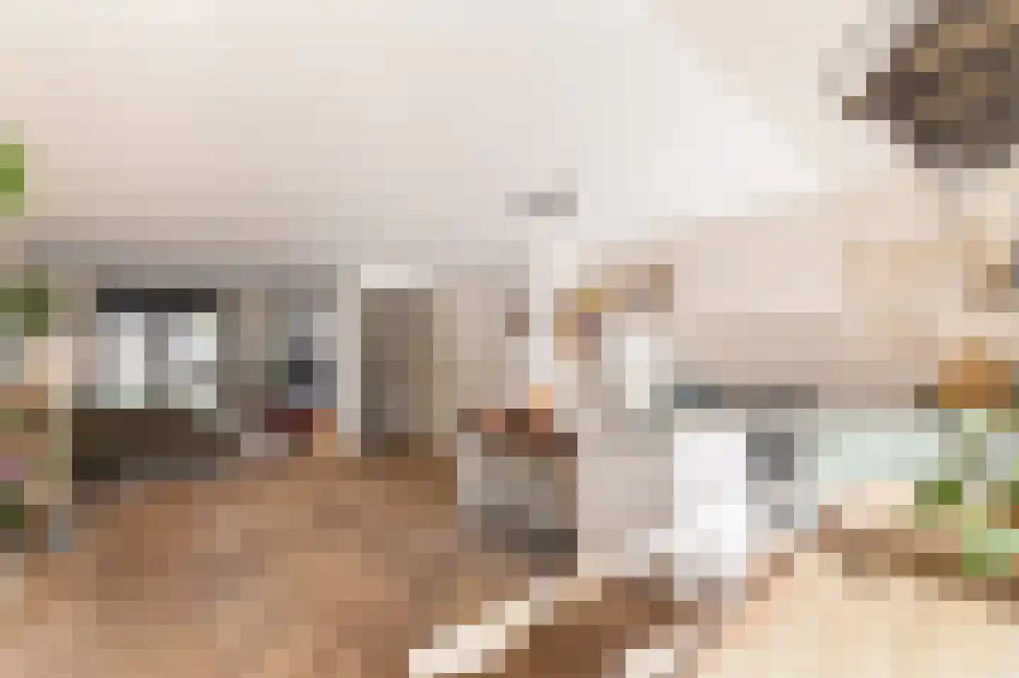 Cornelis Kraijenhoffstraat 18 Muiden thumbnail 15
