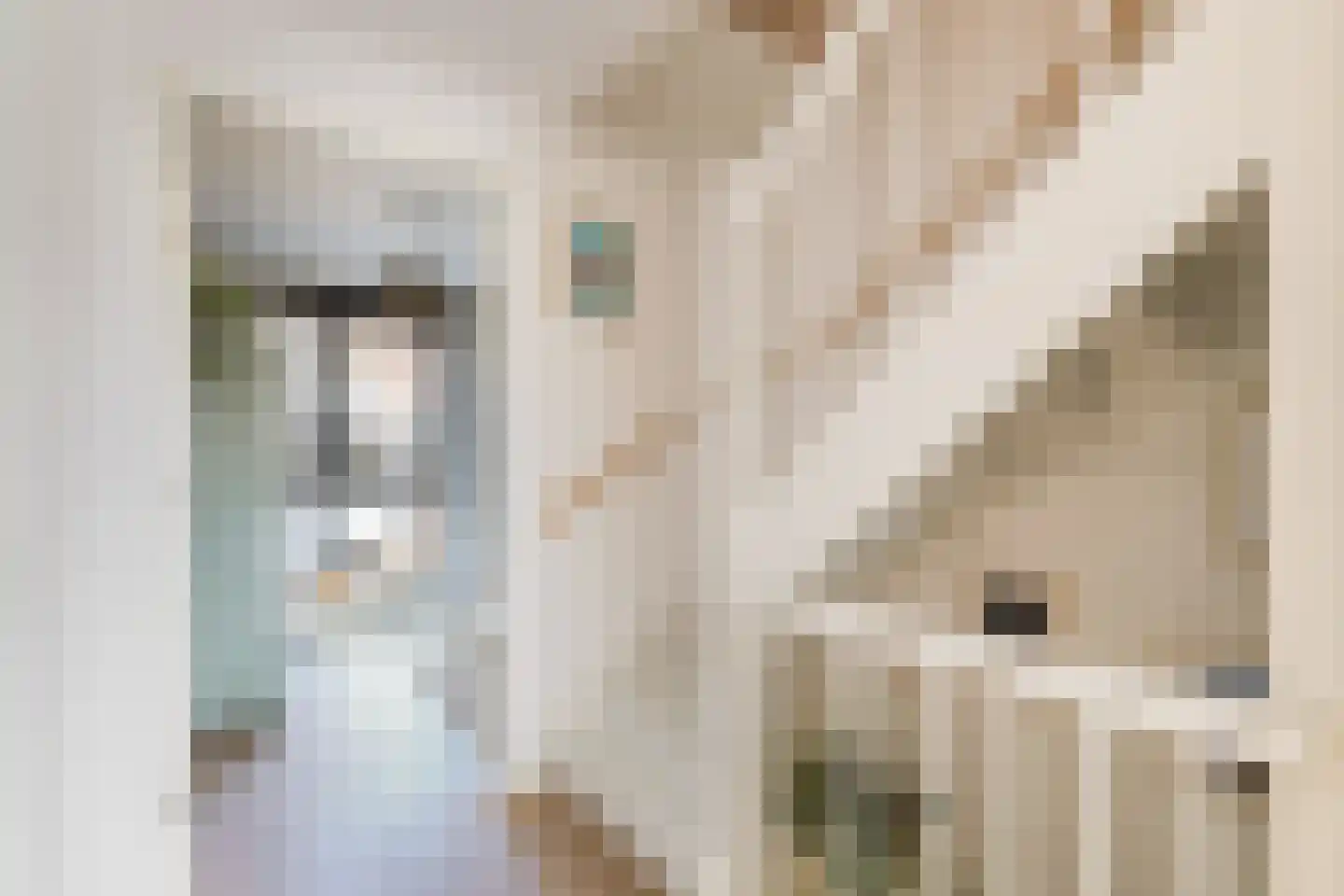 Cornelis Kraijenhoffstraat 18 Muiden thumbnail 21