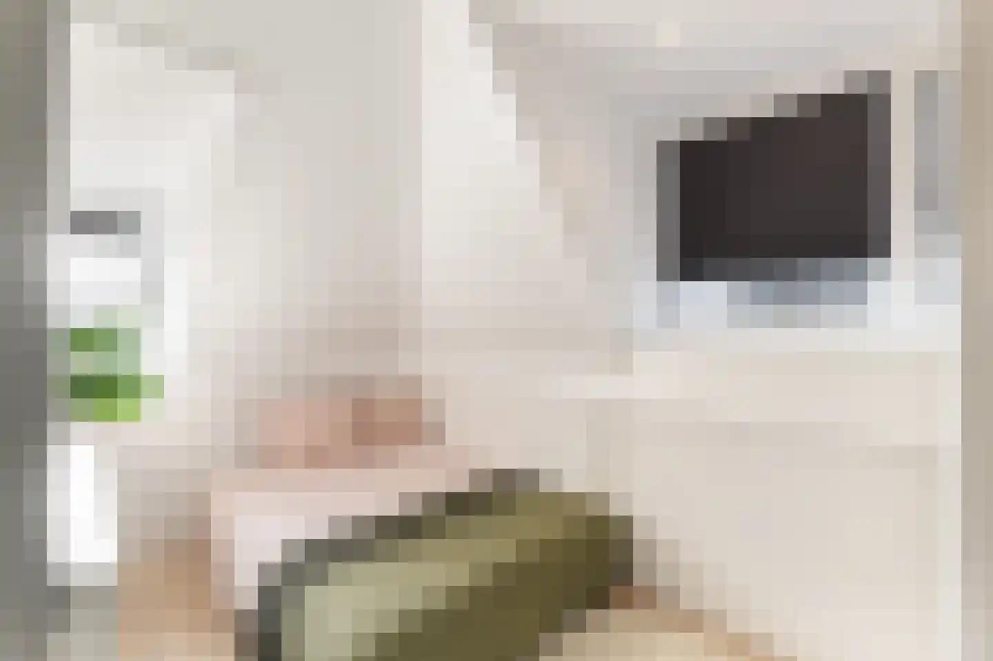 Cornelis Kraijenhoffstraat 18 Muiden thumbnail 33