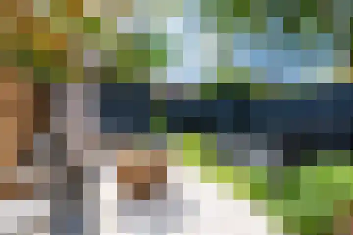 Cornelis Kraijenhoffstraat 6 Muiden thumbnail 16