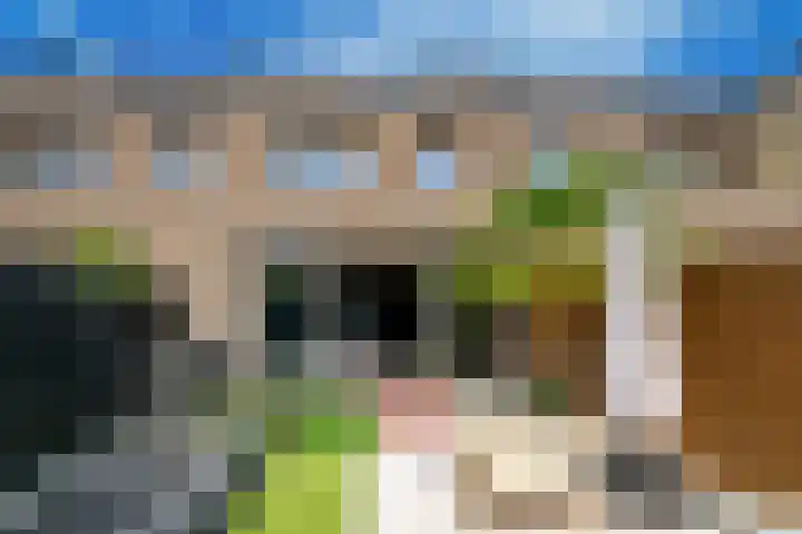 Cornelis Kraijenhoffstraat 6 Muiden thumbnail 18