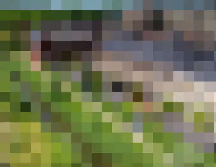Cornelis Kraijenhoffstraat 6 Muiden thumbnail 19