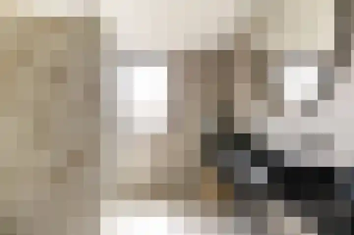 Cornelis Kraijenhoffstraat 6 Muiden thumbnail 30
