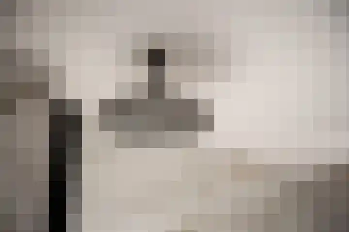 Cornelis Kraijenhoffstraat 6 Muiden thumbnail 32