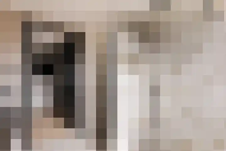 Cornelis Kraijenhoffstraat 6 Muiden thumbnail 34
