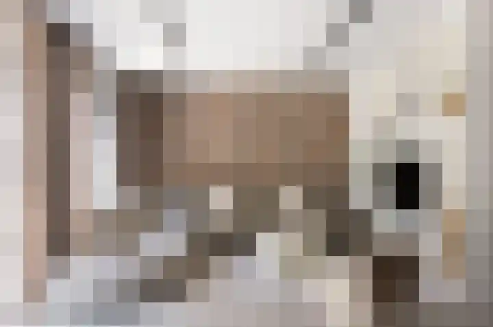 Cornelis Kraijenhoffstraat 9 Muiden thumbnail 12