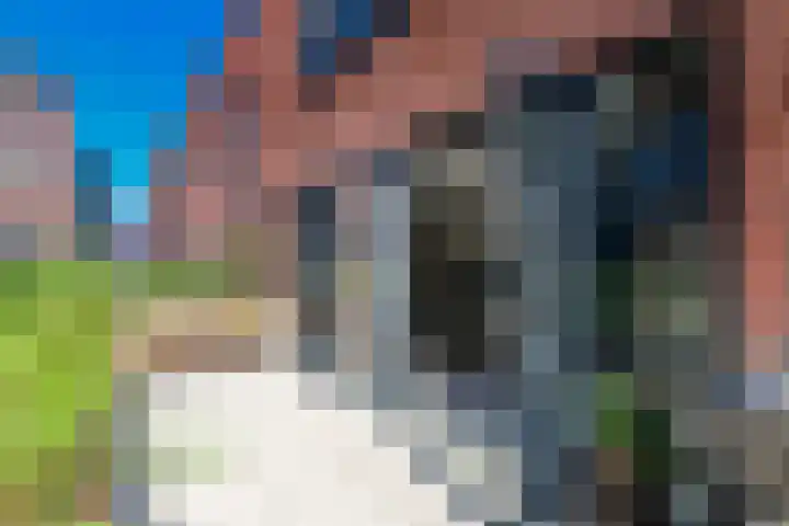 Cornelis Kraijenhoffstraat 9 Muiden thumbnail 16
