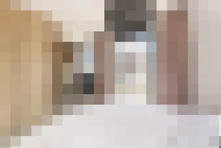 Cornelis Kraijenhoffstraat 9 Muiden thumbnail 5