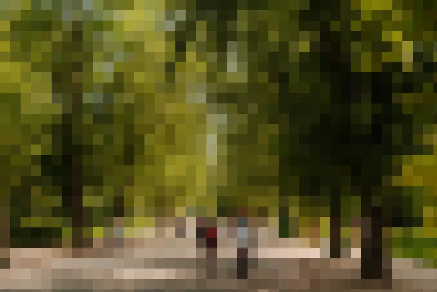 Cornelis Krusemanstraat 1 E Amsterdam thumbnail 32
