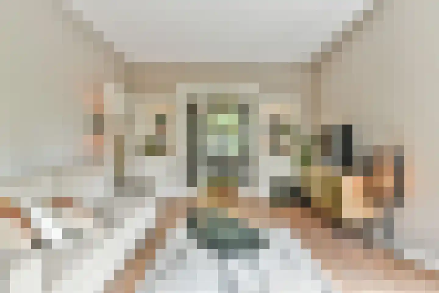 Cornelis Krusemanstraat 23 1 Amsterdam thumbnail 6