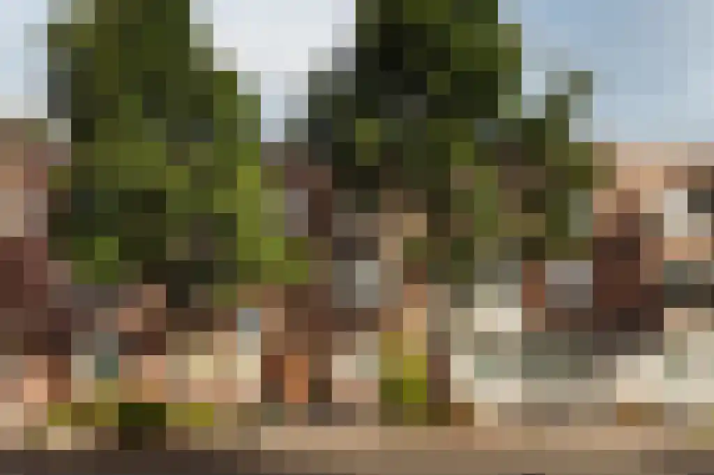 Cornelis Krusemanstraat 4 Amsterdam thumbnail 6