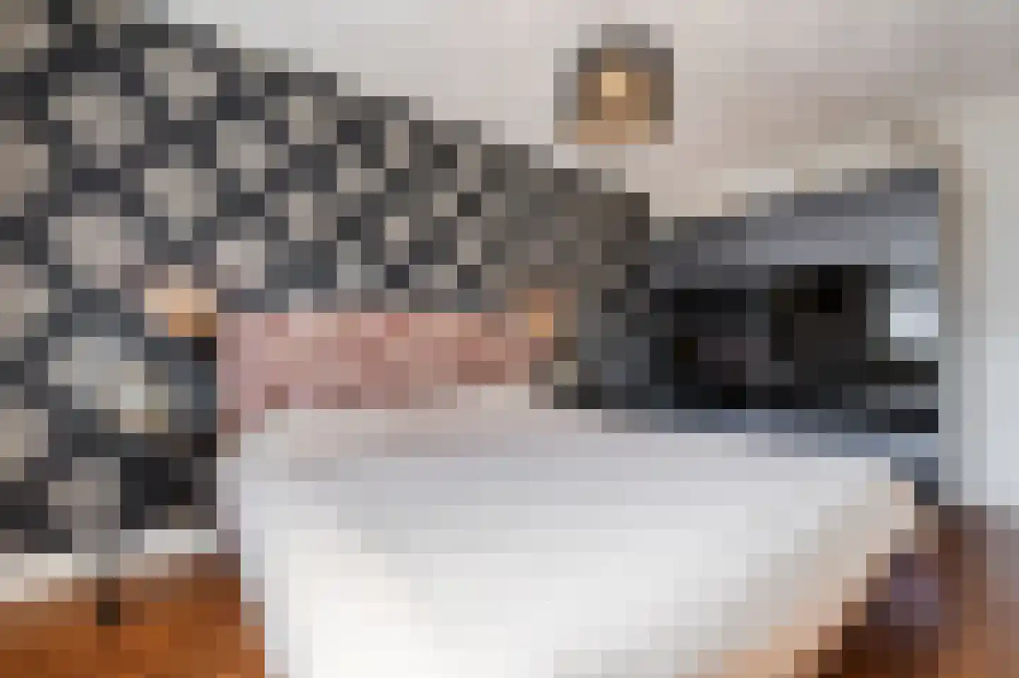 Cornelis Krusemanstraat 8 Eindhoven thumbnail 21