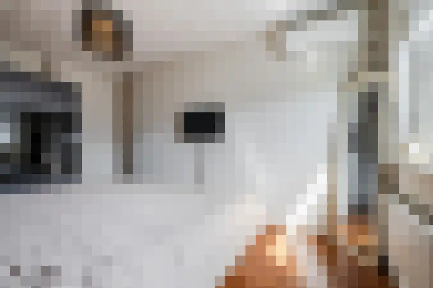 Cornelis Krusemanstraat 8 Eindhoven thumbnail 22