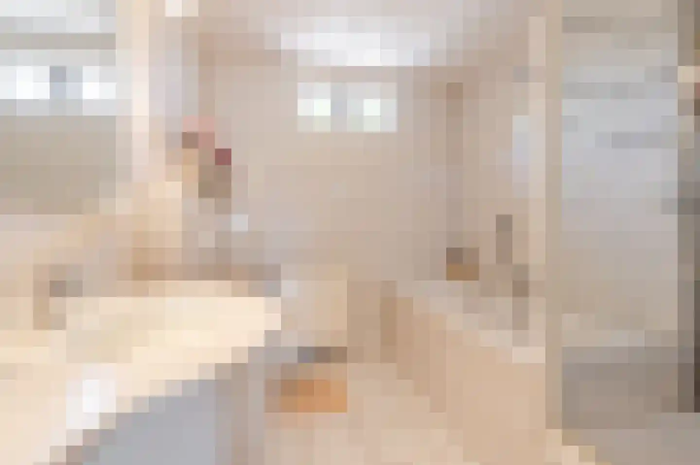 Cornelis Krusemanstraat 8 Eindhoven thumbnail 27