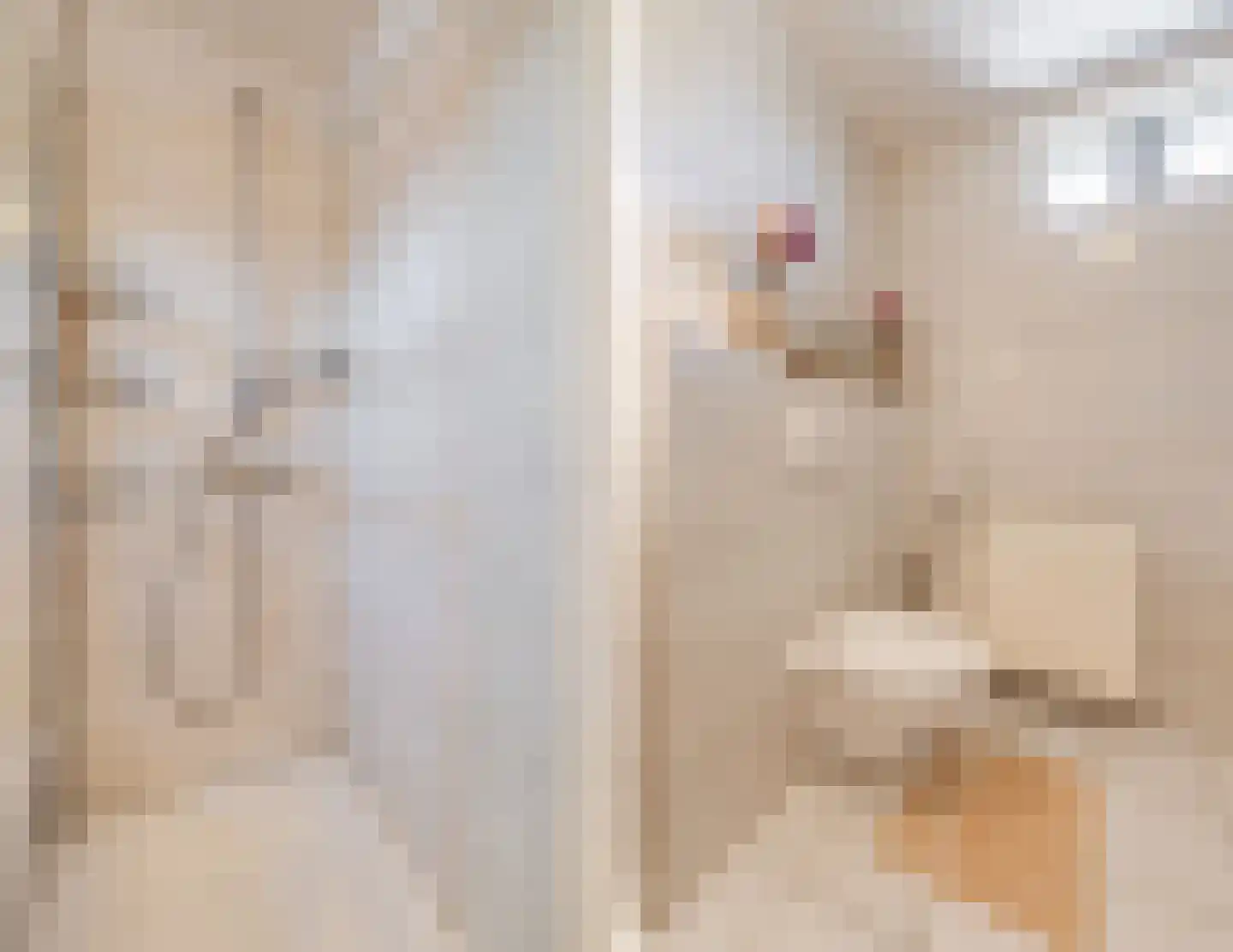 Cornelis Krusemanstraat 8 Eindhoven thumbnail 30