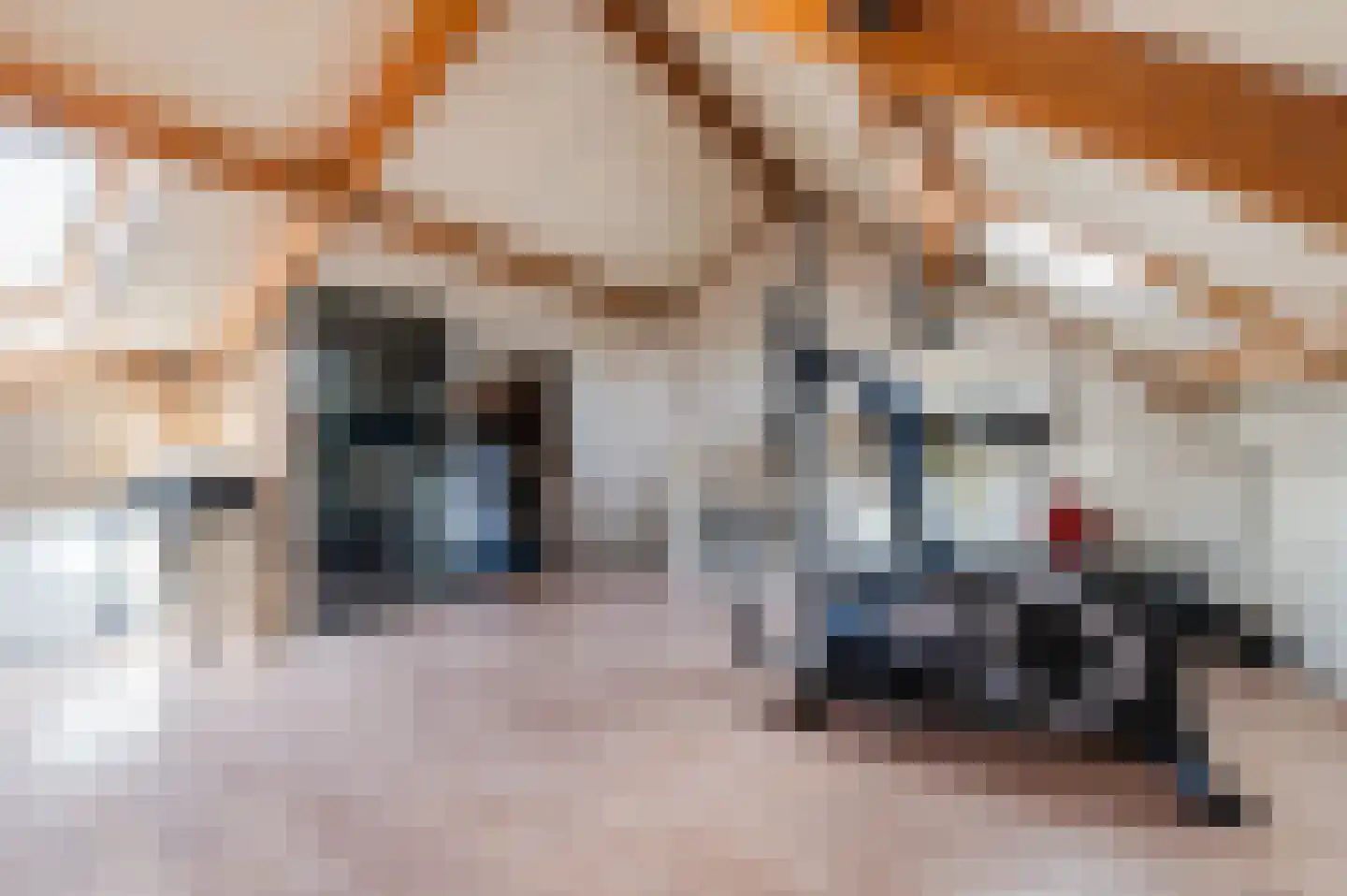 Cornelis Krusemanstraat 8 Eindhoven thumbnail 32