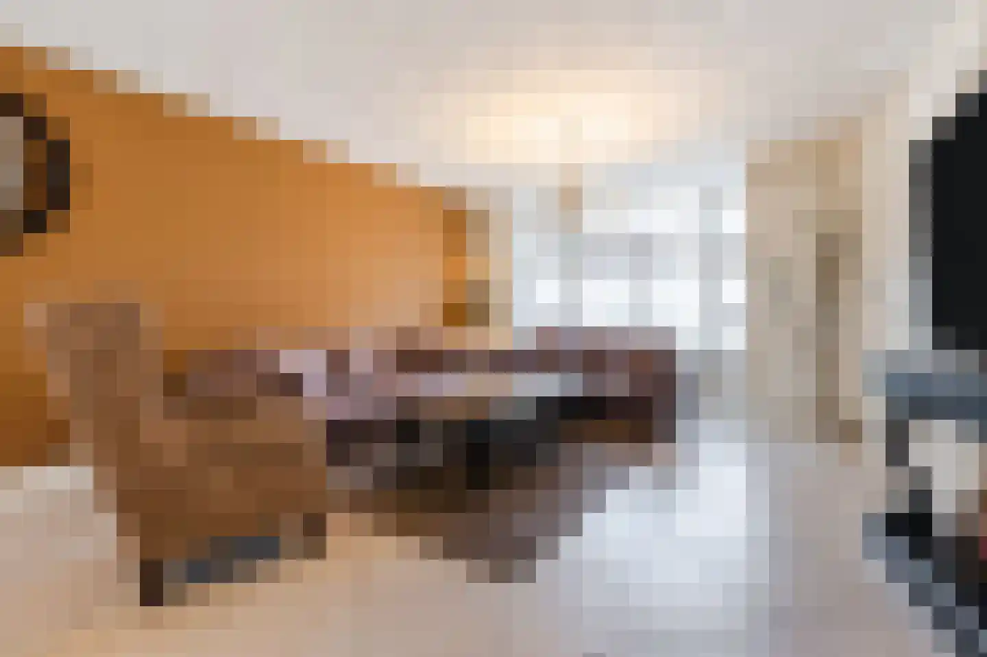 Cornelis Krusemanstraat 8 Eindhoven thumbnail 4