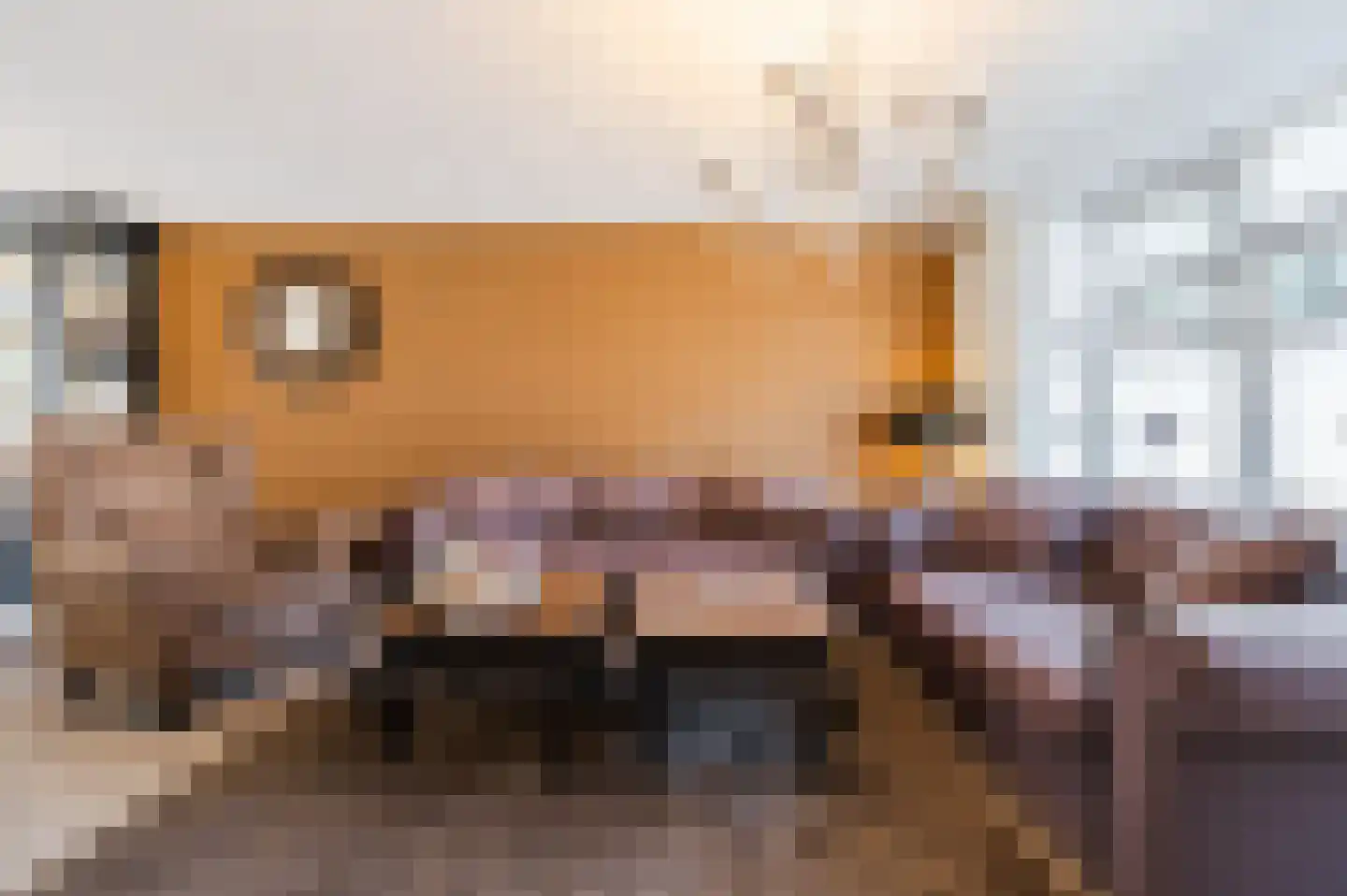 Cornelis Krusemanstraat 8 Eindhoven thumbnail 5
