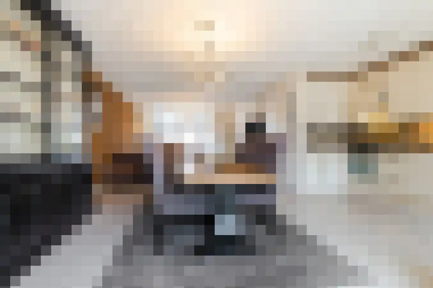 Cornelis Krusemanstraat 8 Eindhoven thumbnail 8