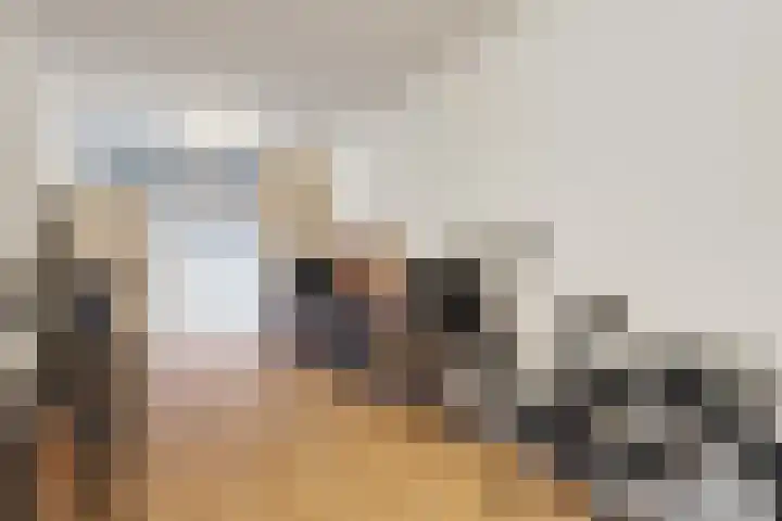 Cornelis Kuyperweg 12 Nijverdal thumbnail 32