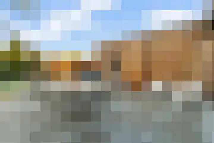 Cornelis Kuyperweg 12 Nijverdal thumbnail 36