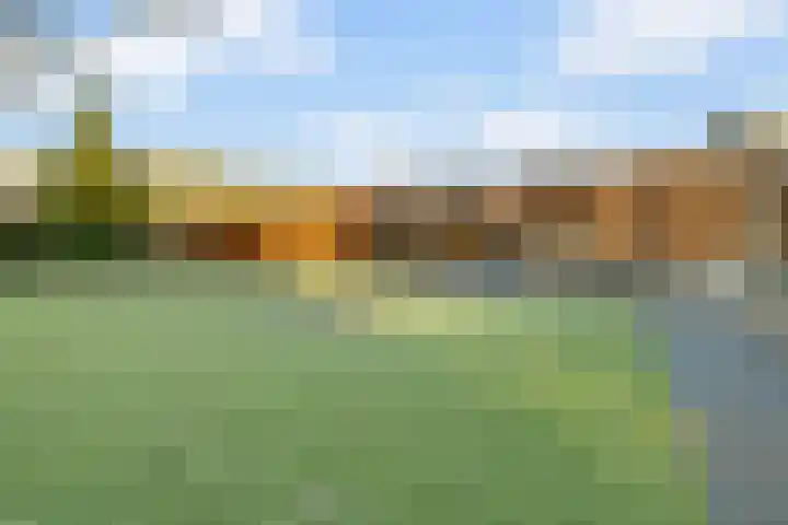 Cornelis Kuyperweg 12 Nijverdal thumbnail 38