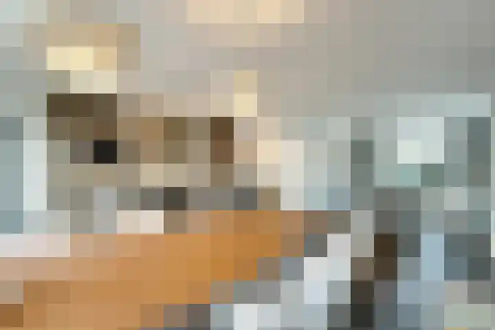 Cornelis Kuyperweg 12 Nijverdal thumbnail 9