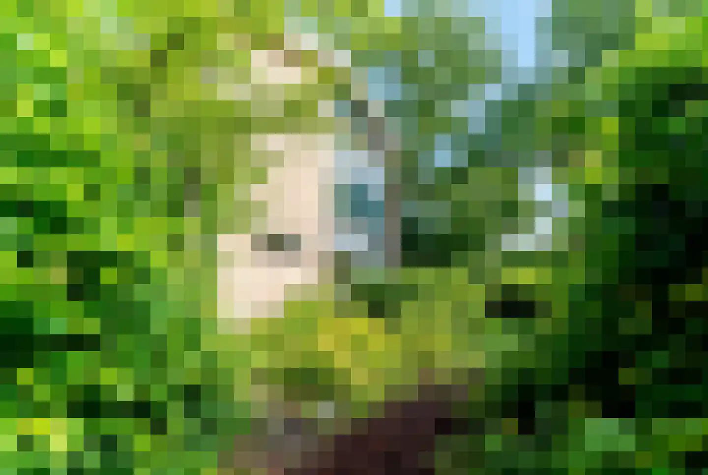 Cornelis Kuyperweg 25 Nijverdal thumbnail 34