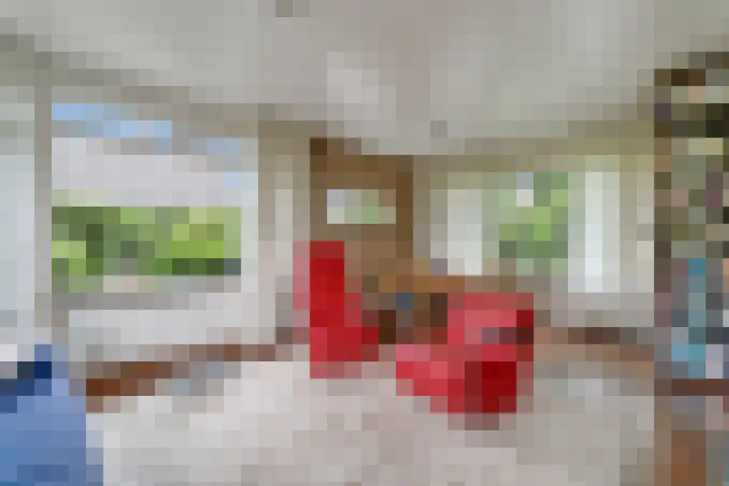 Cornelis Kuyperweg 25 Nijverdal thumbnail 4