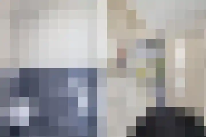 Cornelis Lelyhage 1 Emmeloord thumbnail 11
