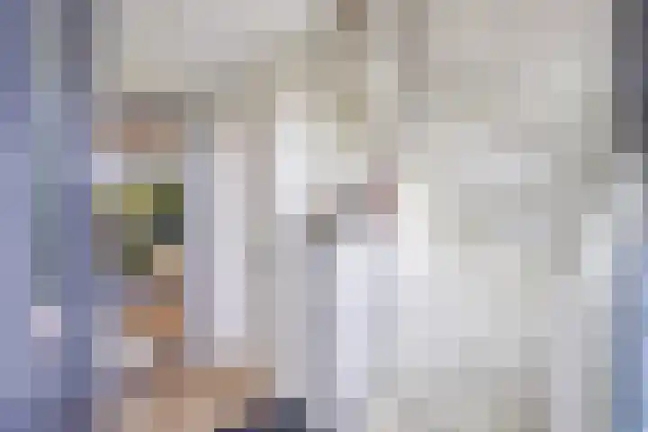 Cornelis Lelyhage 1 Emmeloord thumbnail 12