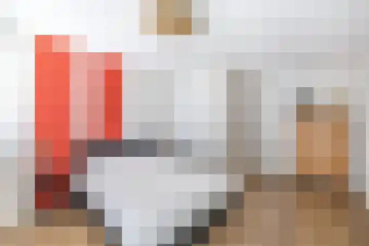 Cornelis Lelyhage 1 Emmeloord thumbnail 14
