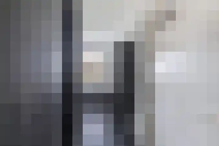 Cornelis Lelyhage 1 Emmeloord thumbnail 19