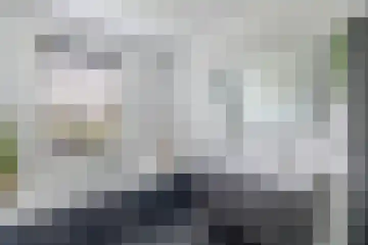 Cornelis Lelyhage 1 Emmeloord thumbnail 21