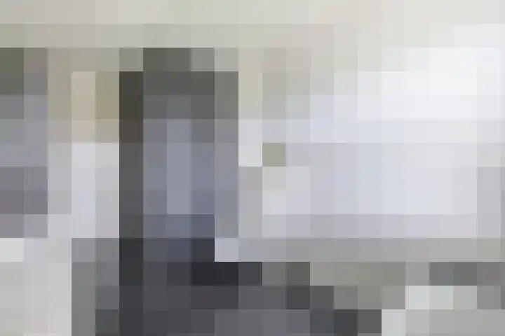 Cornelis Lelyhage 1 Emmeloord thumbnail 23